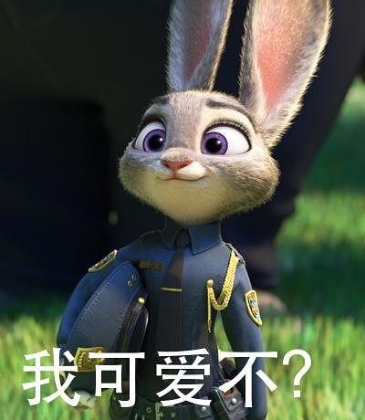 动物城表情包,趣味横生的动物世界