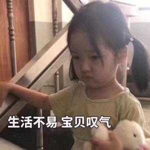 生活的不易表情包,表情包里的共鸣与慰藉
