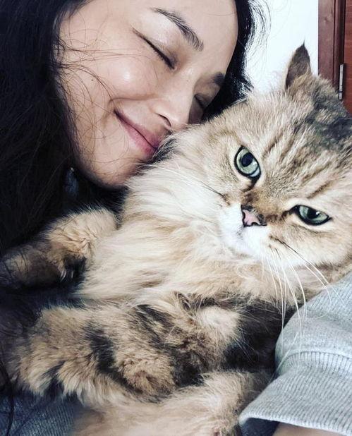 女明星虐猫,女明星道德沦丧引发公众愤怒